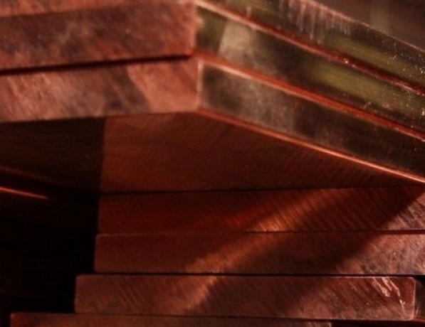 Плита медная х/к полутвердая М1ф 25х200 мм ГОСТ 1173-2006 фото